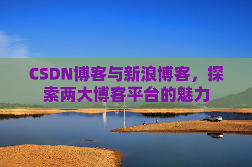 CSDN博客与新浪博客，探索两大博客平台的魅力